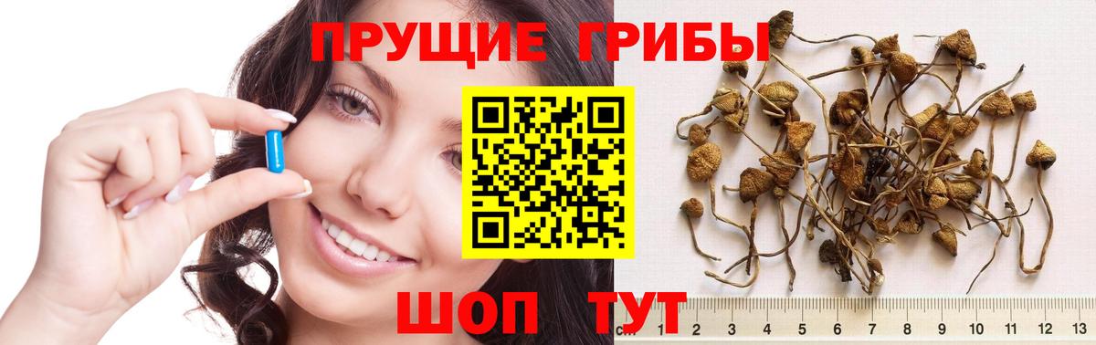 Галлюциногенные грибы мицелий Железноводск