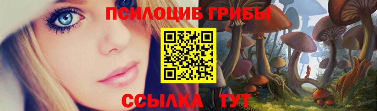 Галлюциногенные грибы GOLDEN TEACHER  Вход с VPN  Железноводск 