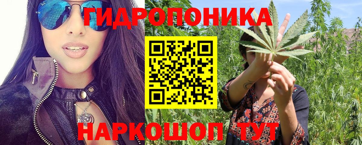 Бошки Шишки ГИДРОПОН Железноводск